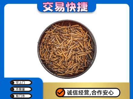 内江市威远礼品回收虫草.jpg